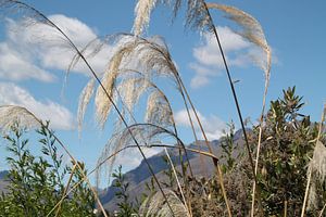 Bij Queenstown Nieuw Zeeland
