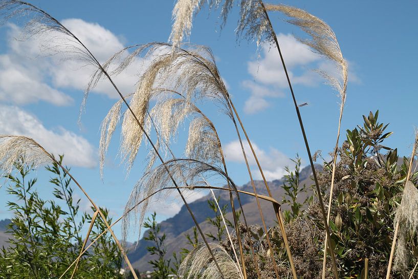 Bij Queenstown Nieuw Zeeland von Tineke Mols