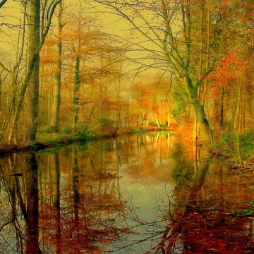 HERBST van Vera Laake