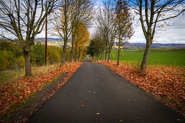 Sentier d'automne à travers les prairies