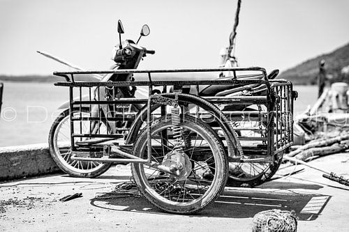 Scooter on the coast.