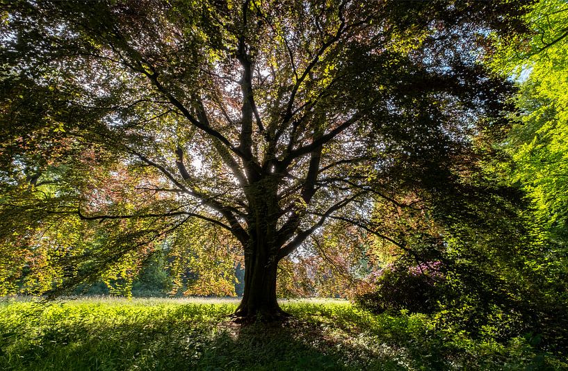 Estate Leyduin Vogelenzang by martin slagveld