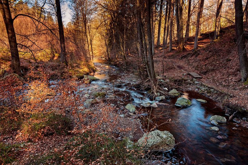 Mountain river La Hoëgne by Rob Boon