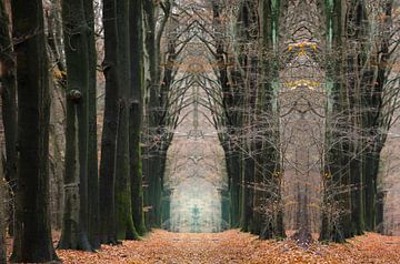 Avenue avec des hêtres dans une forêt de conte de fées en automne sur Ger Beekes