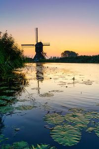 Hollands beeld molen aan water van Björn van den Berg