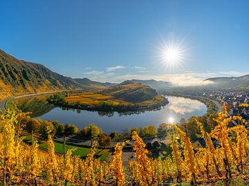 Vue à travers les vignobles jusqu'au coude de la Moselle sur Christian Klös