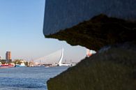 Zicht op de Maas in Rotterdam van Studio Wanderlove thumbnail