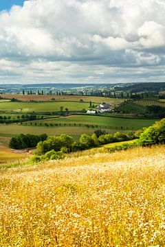 Vacances dans votre propre pays sur peter reinders