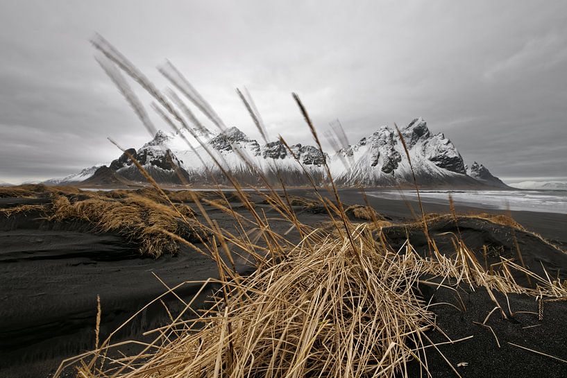 Bergkette hinter schwarzen Sanddünen in Island von Ralf Lehmann