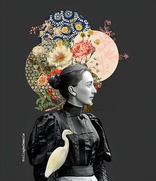 The golden age van collagesdemarie