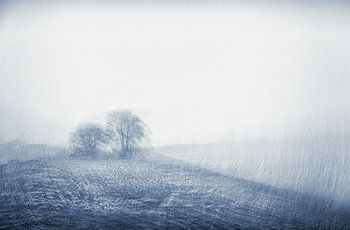 Des arbres dans un paysage en mouvement