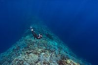 Freediver boven het zadel van Blue Hole bij Dahab