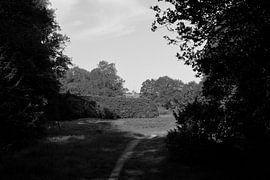 Ansicht einer Mühle in Garderen in schwarz-weiß von Gerard de Zwaan