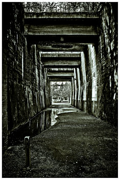 The tunnel