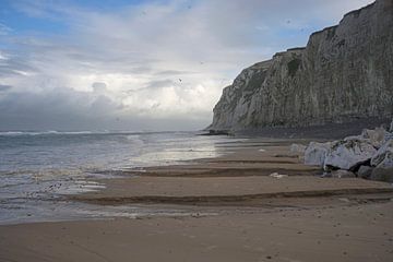 Het strand met de rotsen in Escalles (Opaalkust, Frankrijk)
