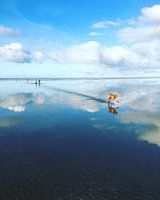 Reflectie
