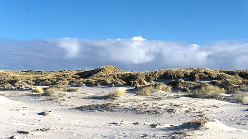 Les dunes de Terschelling