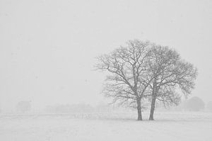 Winter in der Achterhoek von Arno Wolsink