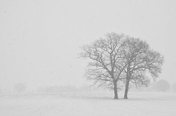 Winter in de Achterhoek