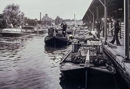 Aanvoer met Westlanders Groenteveiling Naaldwijk in zwart en wit. van Nicolaas Digi Art