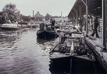 Landings with Westlanders Groenteveiling Naaldwijk in black and white.