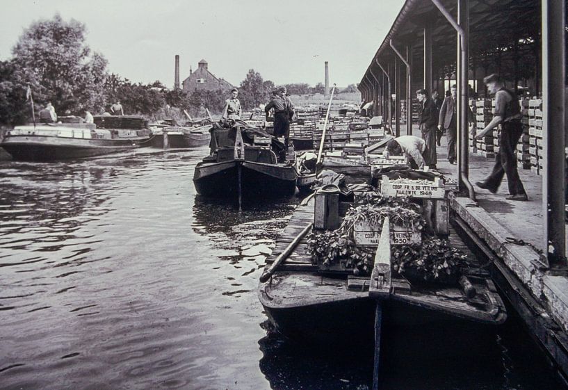 Landings with Westlanders Groenteveiling Naaldwijk in black and white. by Nicolaas Digi Art