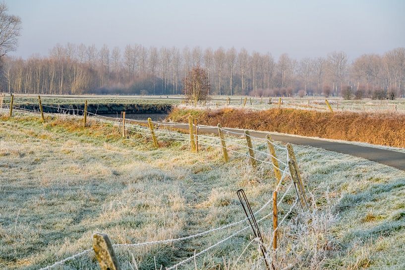 An icy sunny morning along the Dender by Marcel Derweduwen