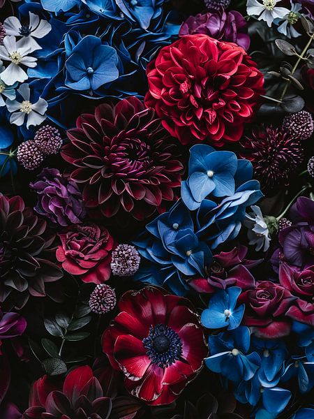Dark flowers iv by haroulita