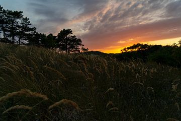 Un coucher de soleil dans la nature sur Gaby Jonker