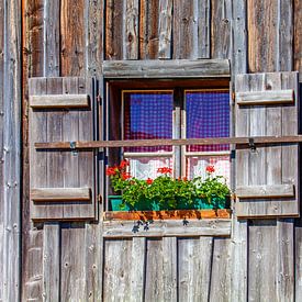 Blumen vor dem  Holzfenster von Christa Kramer