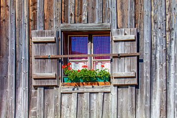 Blumen vor dem  Holzfenster von Christa Kramer