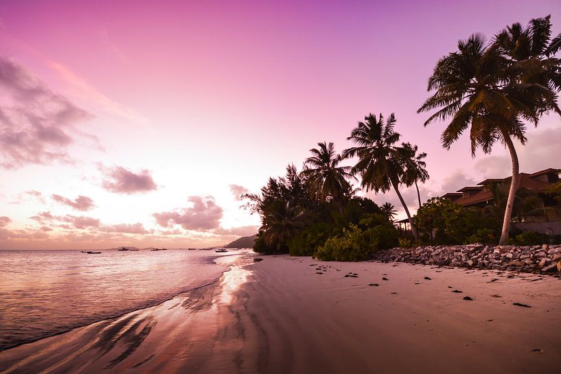 Purple sunrise par Daphne Elderenbos
