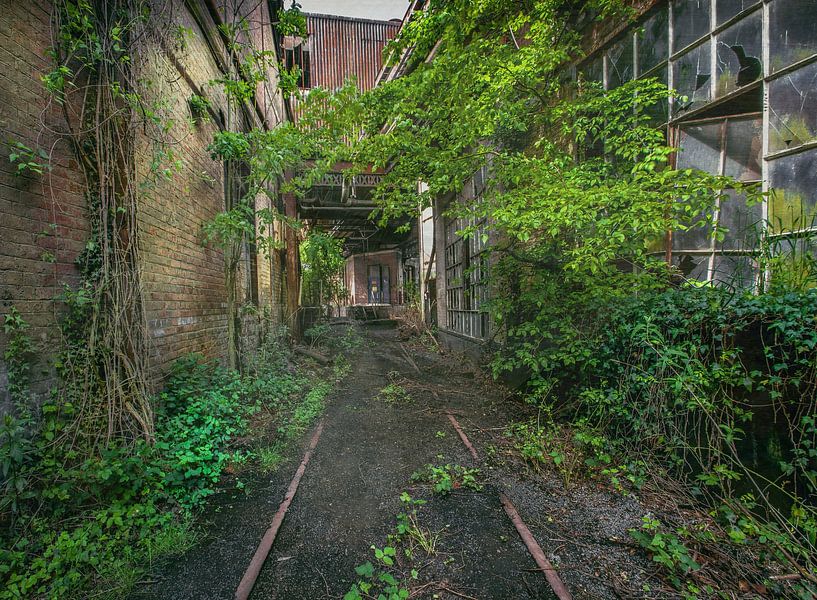 Alte Fabrik von Olivier Photography