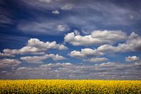 Spring colors
