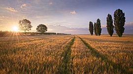 Zonsopkomst in Klein Toscane