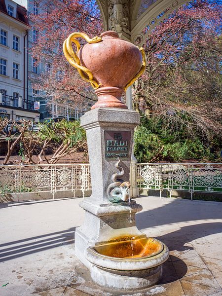 Karlsbad / Karlovy Vary - Snake Spring by t.ART
