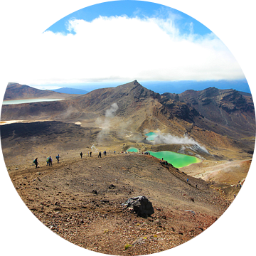 Emerald lakes, Tongariro Nationaal Park Nieuw-Zeeland van GoWildGoNaturepictures