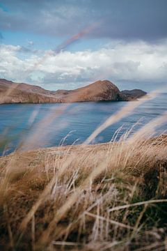 Ponta de São Lourenço van Dave Adriaanse