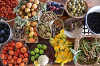 Fruits of Eden.