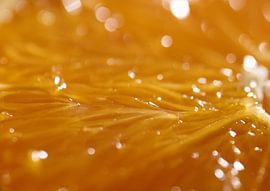 Close-up of fruit in detail by Tije Mählmann