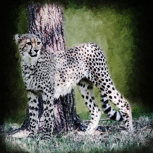 Cheetah in front of a tree (painting)