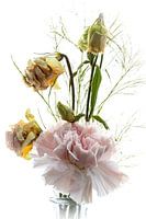 Still life flowers