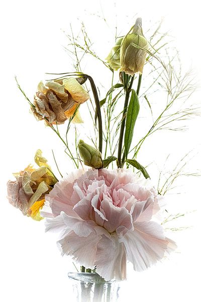 Fleurs de la nature morte par M.W. v.Dam