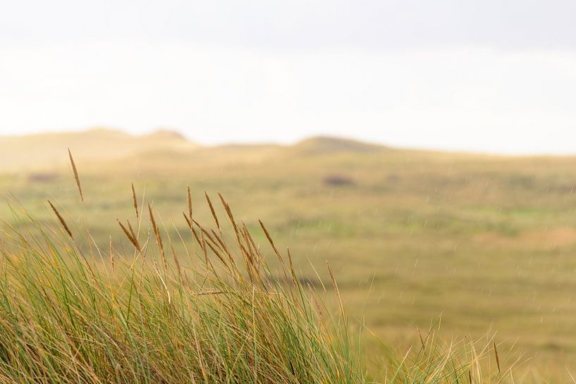 Sluftervallei duinen bij het strand van Texel van Sjoerd van der Wal Fotografie