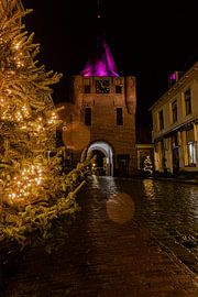 Vischpoort Elburg sur leon brouwer