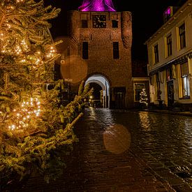 Vischpoort Elburg sur leon brouwer