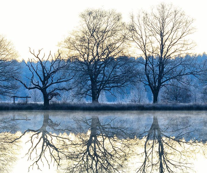 Dwingelderveld (Niederlande) von Marcel Kerdijk