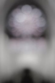 Organist by Elke van Putten