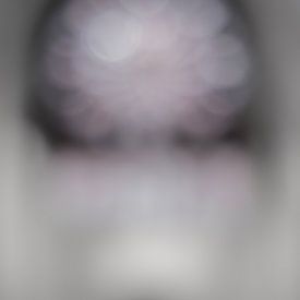 Organist by Elke van Putten