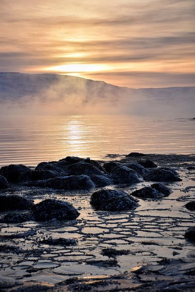Ein kalter Wintermorgen von Elisa in Iceland